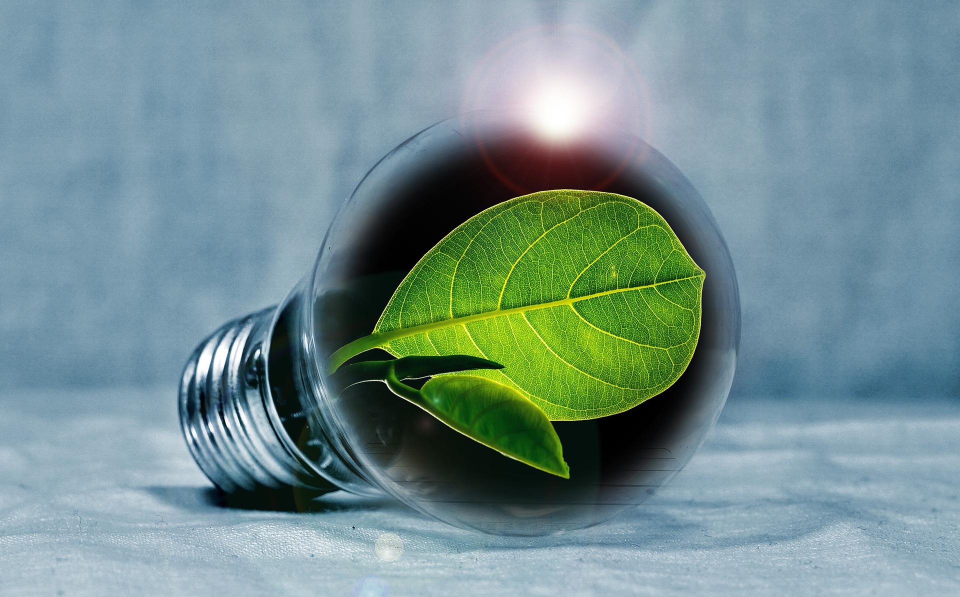 lightbulb-2631864_1920