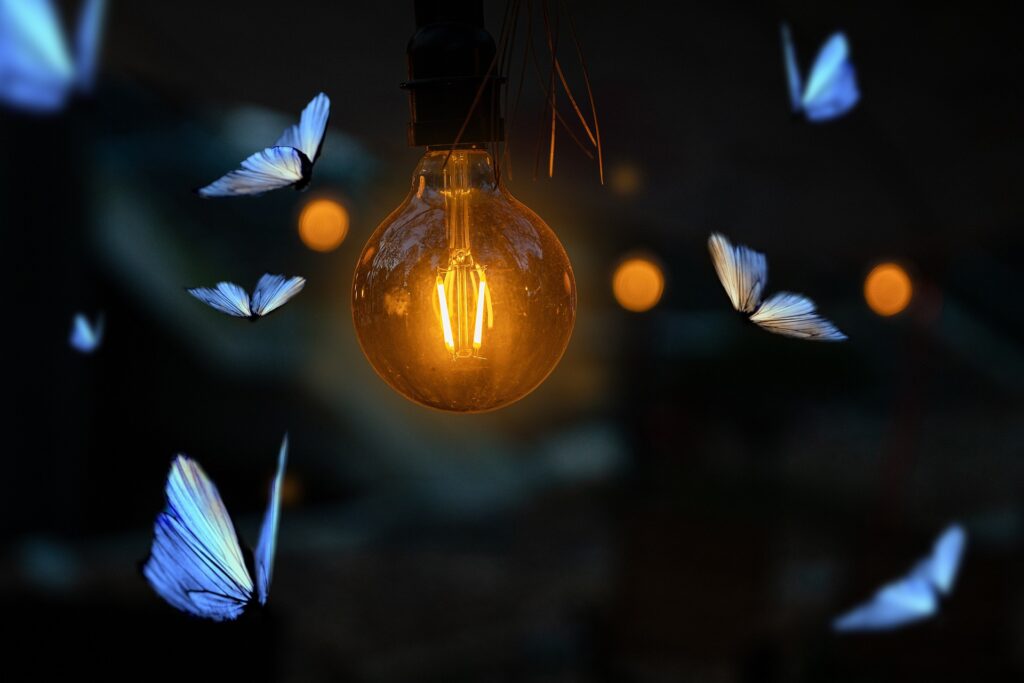 Luz negra, pinta y experimenta